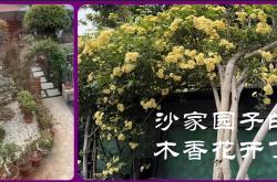 世界杯在哪买 -4.07股市早8点丨外盘，今夜万众瞩目！