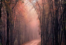 世界杯在哪买 -大(dà)同(tóng)市委(wěi)政(zhèng)法委(wěi)敲定全年工作重(zhòng)點(diǎn)