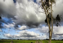 怎么买世界杯 -中国太平洋(yáng)财产保险申请基于树的层次(cì)分析法的风勘问卷打分权重修正(zhèng)方法专利，使得风勘问卷权重的设置(zhì)更加符合实際(jì)应用情况