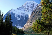 世界杯在哪买 -大(dà)同(tóng)市委(wěi)政(zhèng)法委(wěi)敲定全年工作重(zhòng)點(diǎn)