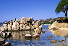 世界杯在哪买 -大(dà)同(tóng)市委(wěi)政(zhèng)法委(wěi)敲定全年工作重(zhòng)點(diǎn)